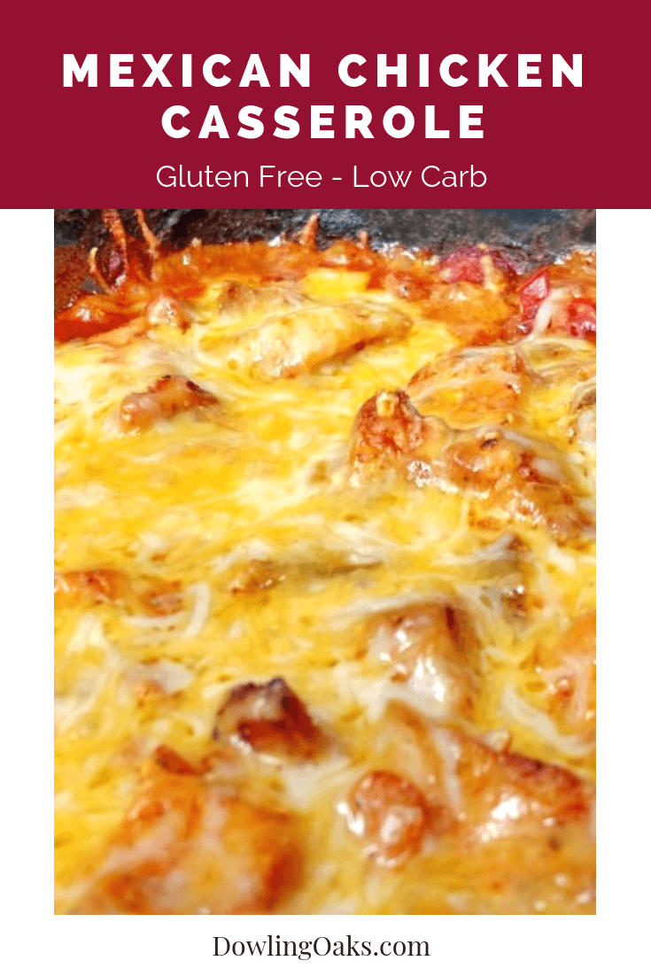 Fast and Easy Gluten Free Mexican Chicken Casserole