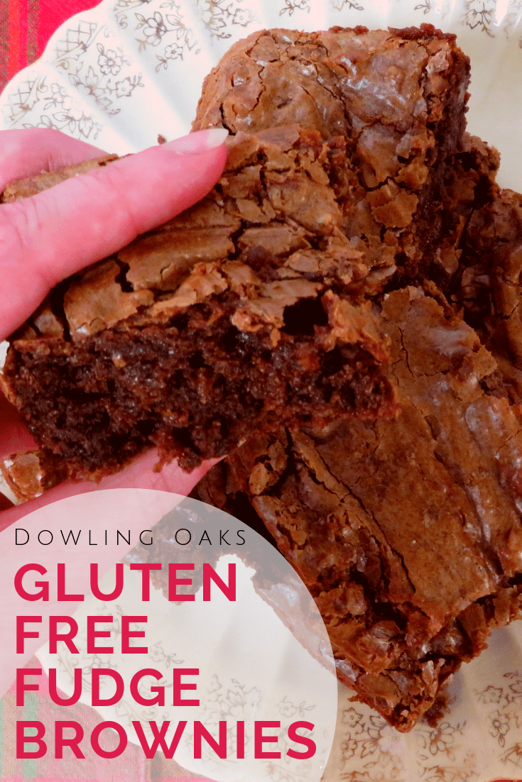 Best Ever Gluten Free Fudge Brownies