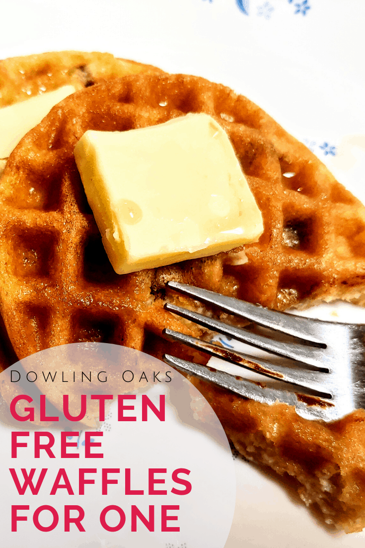 Quick Gluten Free Waffles Recipe for One